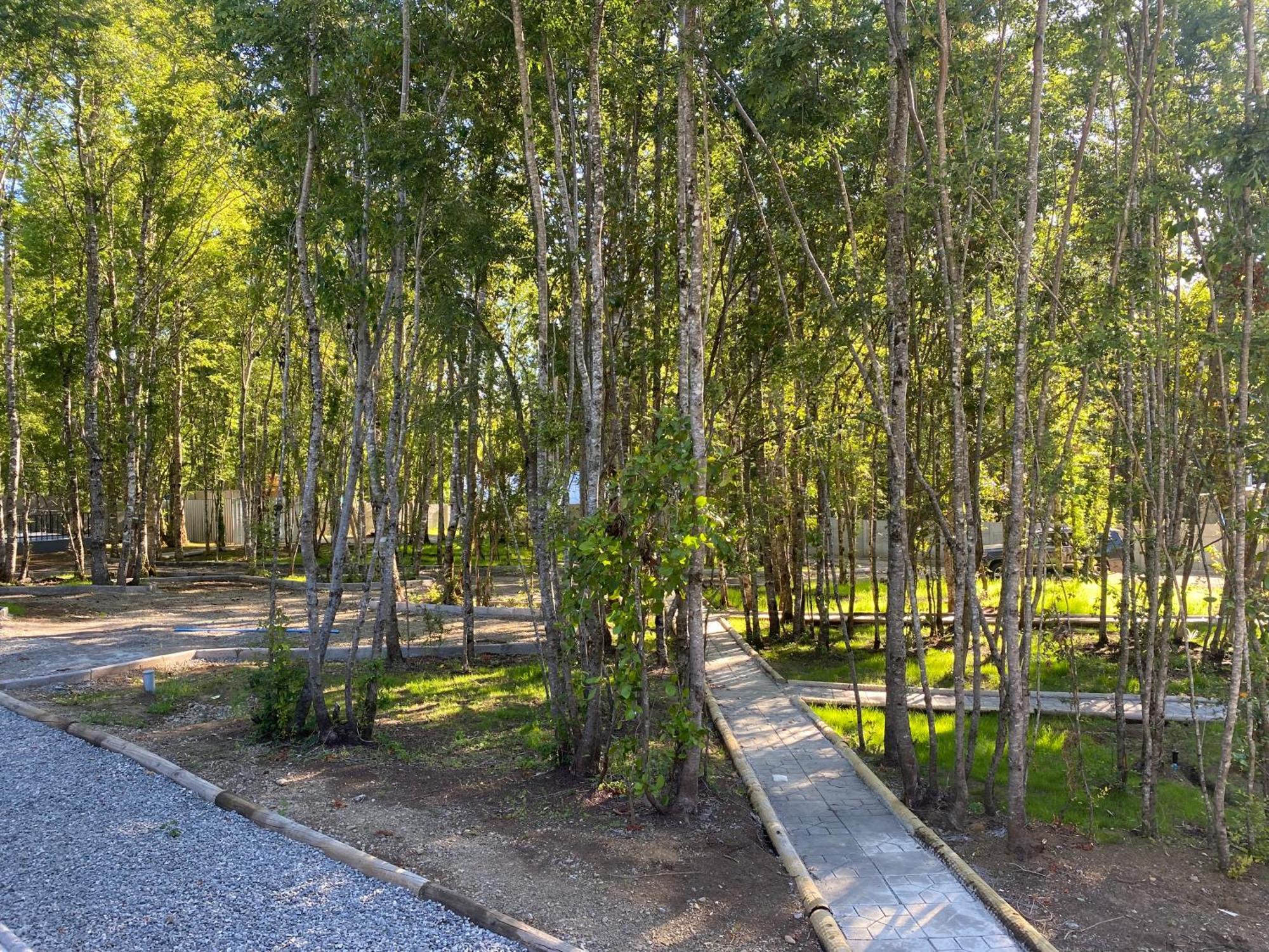 Boker Tov Pucon Hotel ภายนอก รูปภาพ