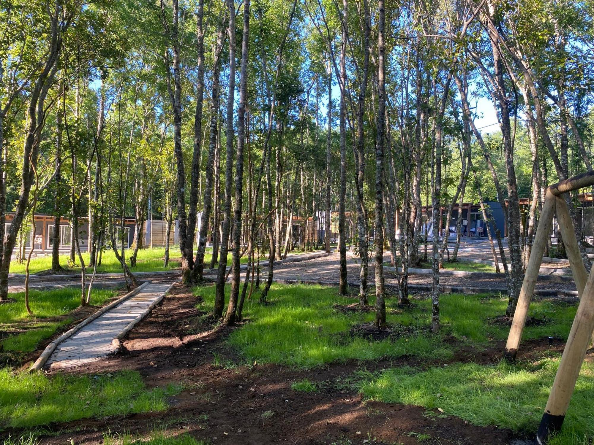 Boker Tov Pucon Hotel ภายนอก รูปภาพ
