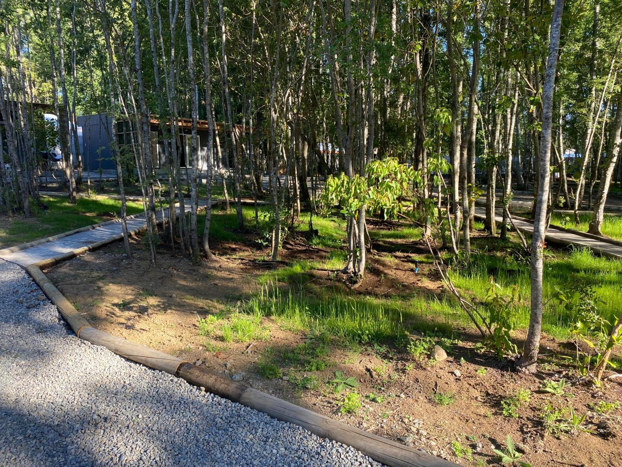 Boker Tov Pucon Hotel ภายนอก รูปภาพ