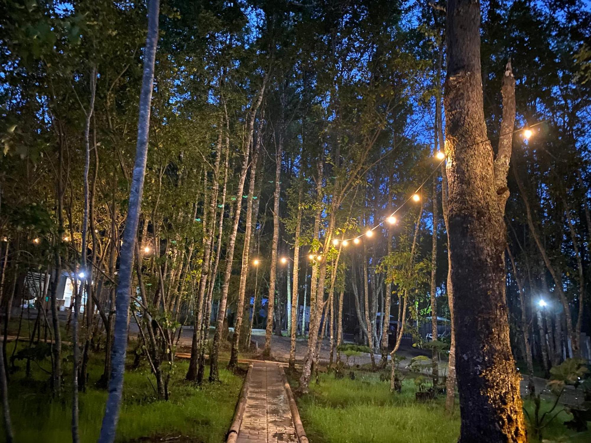 Boker Tov Pucon Hotel ภายนอก รูปภาพ