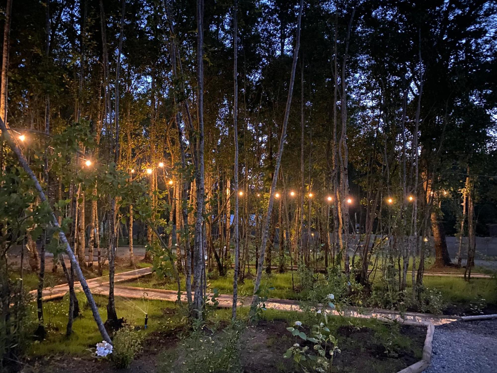 Boker Tov Pucon Hotel ภายนอก รูปภาพ