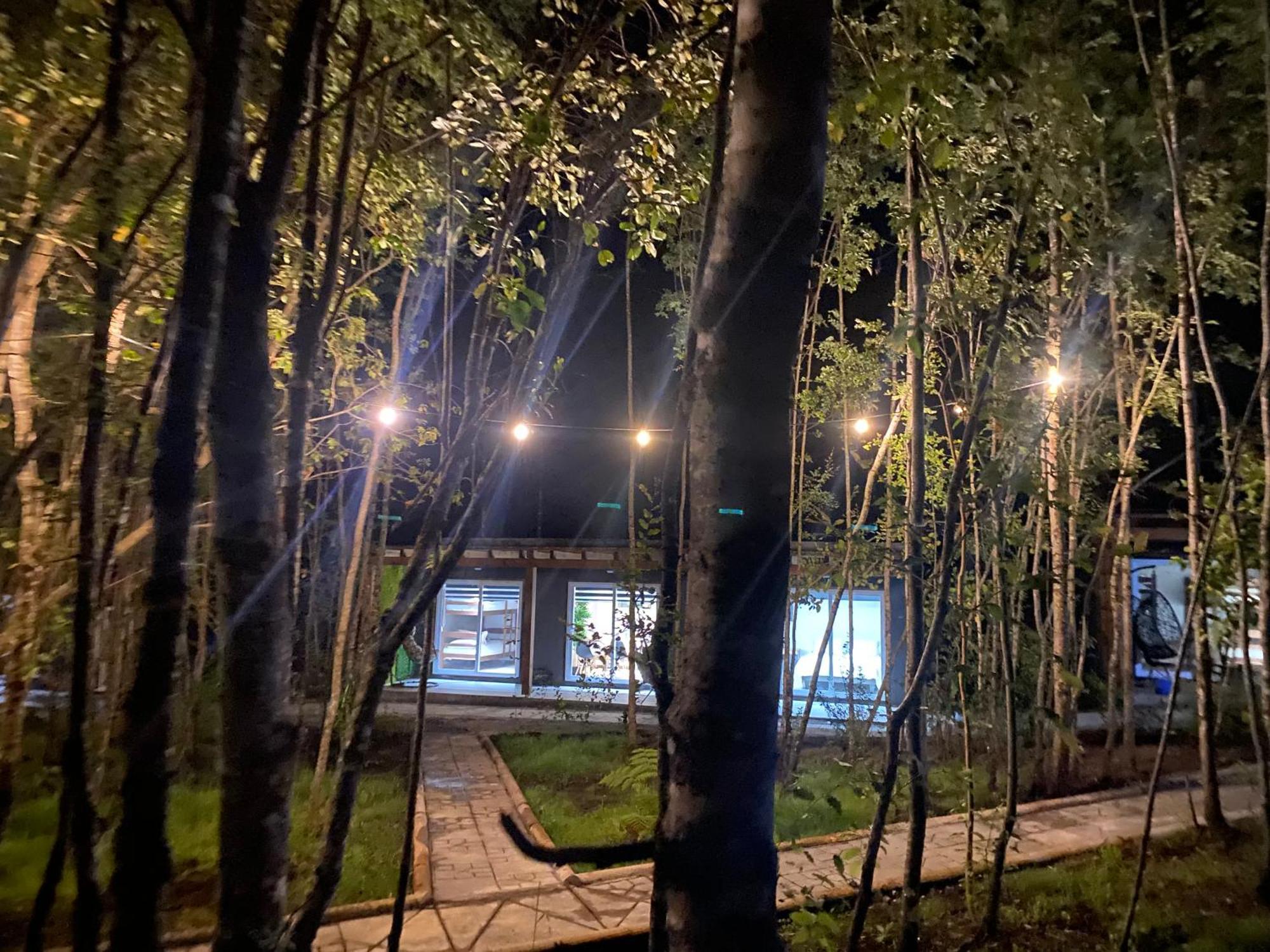Boker Tov Pucon Hotel ภายนอก รูปภาพ