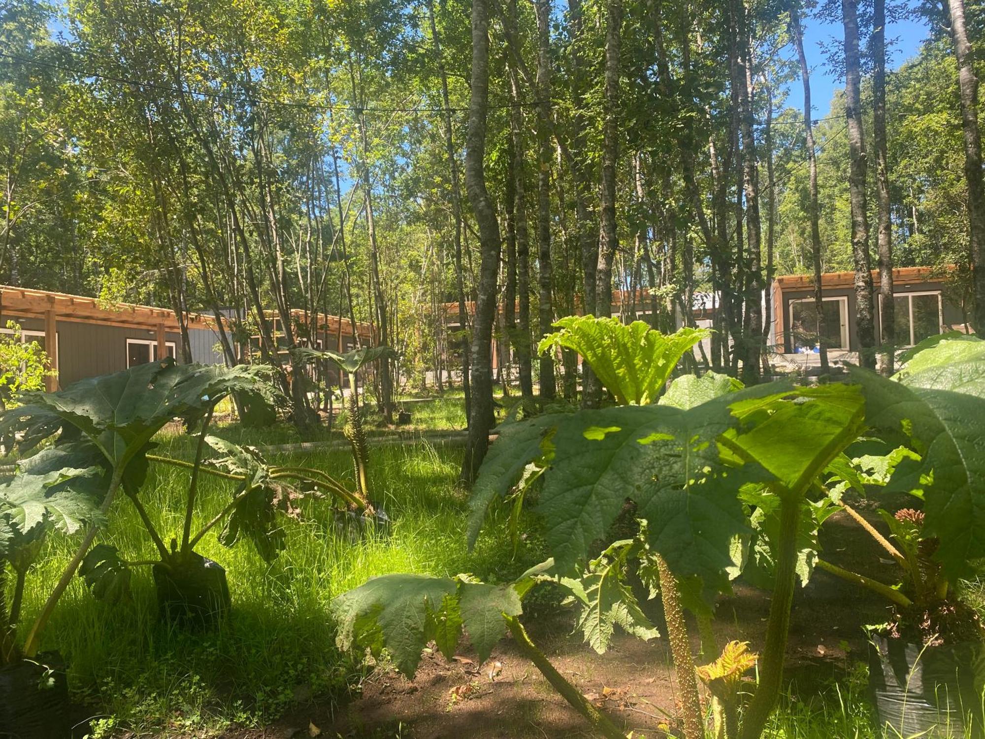 Boker Tov Pucon Hotel ภายนอก รูปภาพ